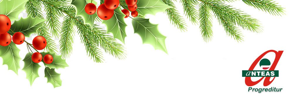 Auguri festivit� natalizie